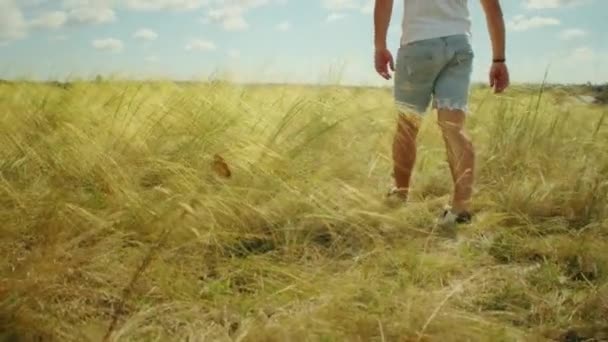 Der Goldenen Stunde Steht Ein Mann Auf Einem Feld Die — Stockvideo
