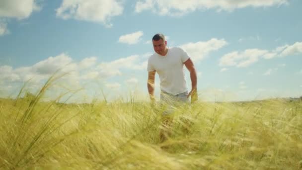 Ein Mann Hebt Die Arme Auf Einem Feld Und Verbindet — Stockvideo