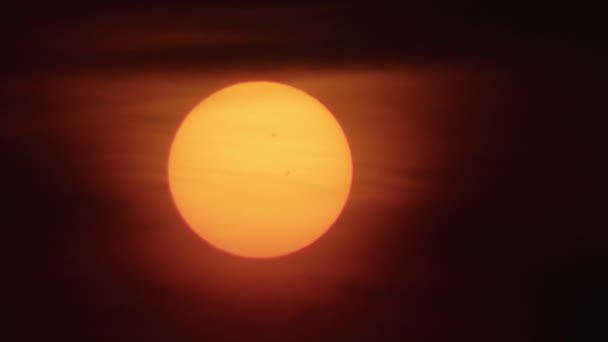 太陽の表面と太陽光スポットを示す詳細な太陽の画像 天文学と太陽科学の概念 教育および科学的利用のための詳細な天文写真 — ストック動画