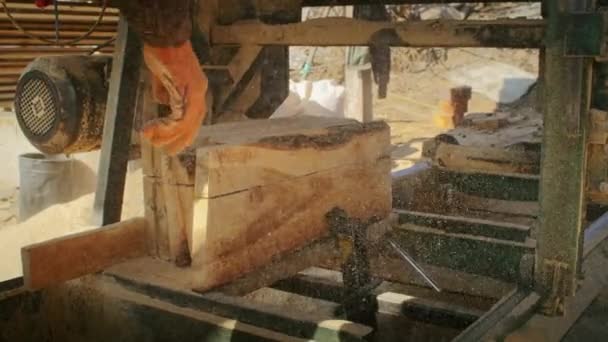Arbeiter Der Einem Sägewerk Baumstämme Schneidet Industrielle Holzbearbeitung Und Holzverarbeitung — Stockvideo