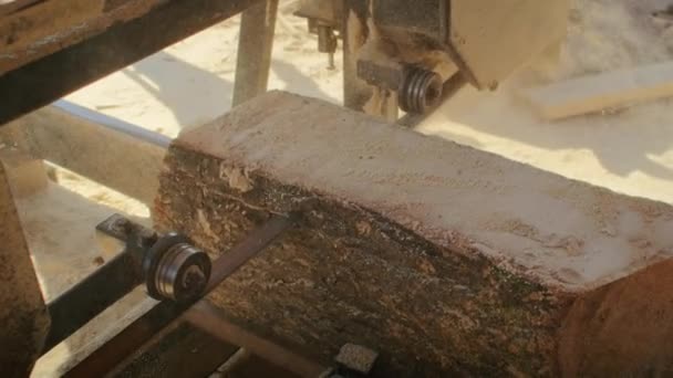 Närbild Sågverksutrustning Som Kapar Stock Träförädling Och Träbearbetningskoncept Industrimaskiner Drift — Stockvideo