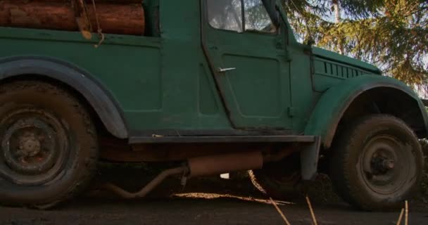 新鮮な伐採された森に積まれた古い緑のトラック — ストック動画