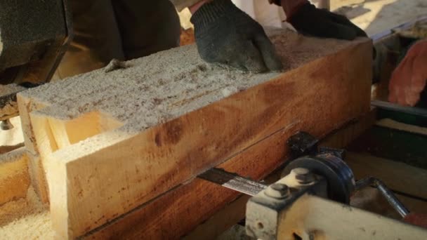 Mãos Trabalhar Com Madeira Numa Serraria Carpintaria Marcenaria Trabalho Manual — Vídeo de Stock