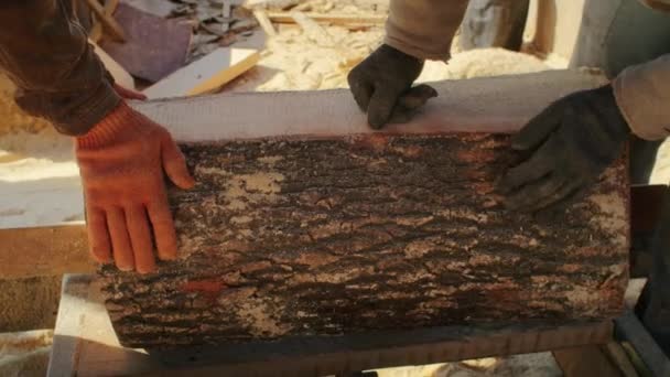 Persiapkan Tukang Kayu Untuk Memotong Log Kayu Raw — Stok Video
