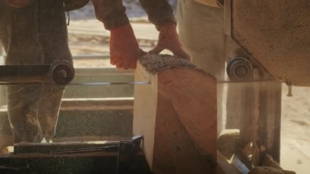 木材工場で見たバンドの作業員の切断ログ ポスター バナー ウェブサイトのための木工業と職人技コンセプト — ストック動画