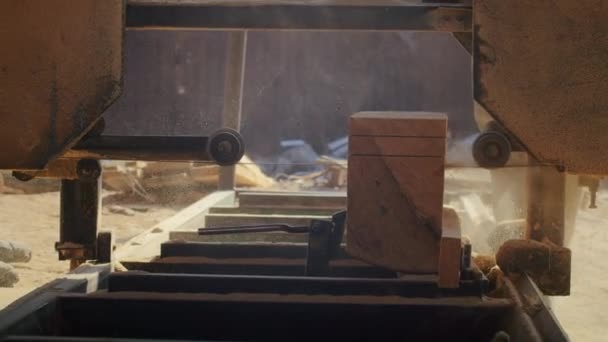 産業用バンドソー サウスビルで木製のブロックを切断 — ストック動画