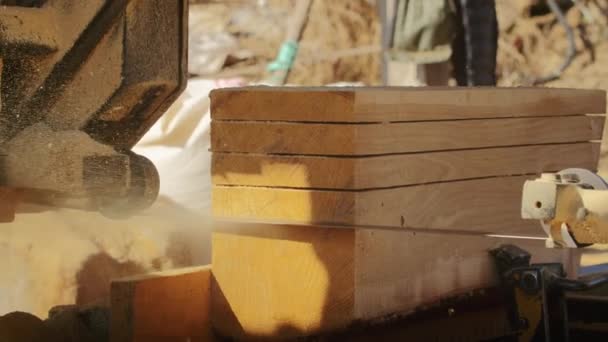 Nahaufnahme Eines Sägeblattes Das Durch Gestapeltes Holz Schneidet Holzbearbeitungskonzept Für — Stockvideo