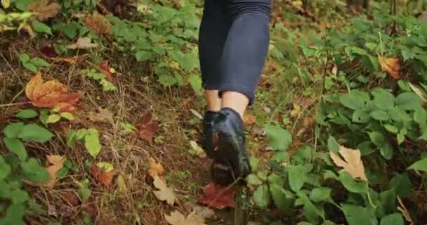 Sonbaharda Ormanda Yürüyen Kot Pantolon Siyah Ayakkabılar Giyen Biri Sonbahar — Stok video