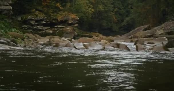 Fluxo Rio Rochoso Que Flui Através Uma Floresta Outono Conceito — Vídeo de Stock
