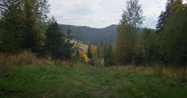 Clareira Florestal Cênica Levando Uma Visão Paisagem Montanhosa Início Outono — Vídeo de Stock