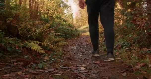 Spaziergänger Auf Einem Waldweg Der Herbst Mit Umgefallenen Blättern Bedeckt — Stockvideo