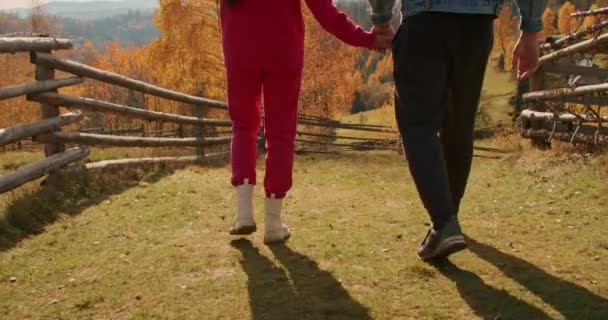 Two People Walking Countryside Setting Autumn Foliage Rural Leisure Relationship — Stock Video