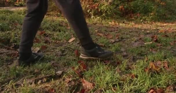 Nahaufnahme Von Wanderfüßen Auf Einem Schlammigen Waldweg Mit Abgefallenen Blättern — Stockvideo