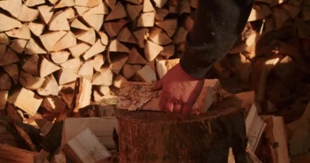 Arka Planda Odun Yığını Olan Kesme Kütüğünün Üzerinde Baltayla Odun — Stok video