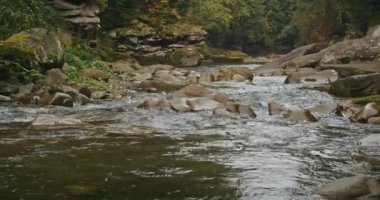 Dağ nehri sonbahar yapraklarıyla kayalık arazide akıyor. Doğa ve vahşi doğa kavramı. Poster, duvar kağıdı ve çevresel koruma için açık hava macerası ve keşif tasarımı