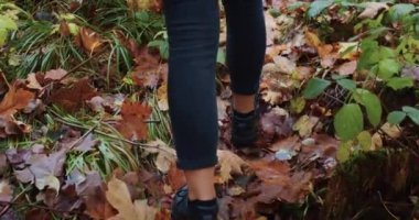 Ormanda yürüyen biri, bacakların yakın çekimi ve sonbahar yapraklarıyla kaplı zeminde siyah ayakkabılar. Açık hava yürüyüşü ve keşif konsepti. Seyahat blogu, eğitim materyali, doğa farkındalığı posteri için tasarım.