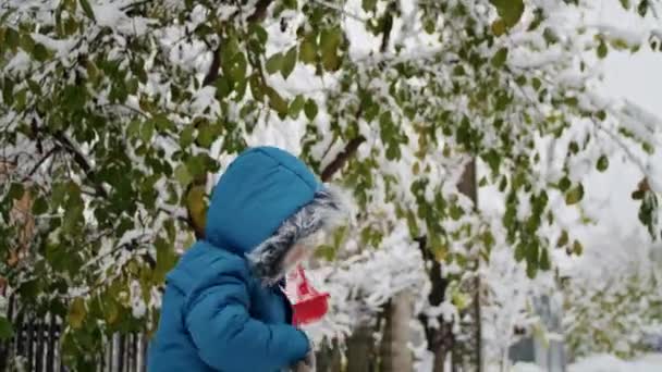 Ένα Παιδί Μια Τεράστια Χιονόπτωση Καθαρίζει Δρόμο Των Σπιτιών Του — Αρχείο Βίντεο