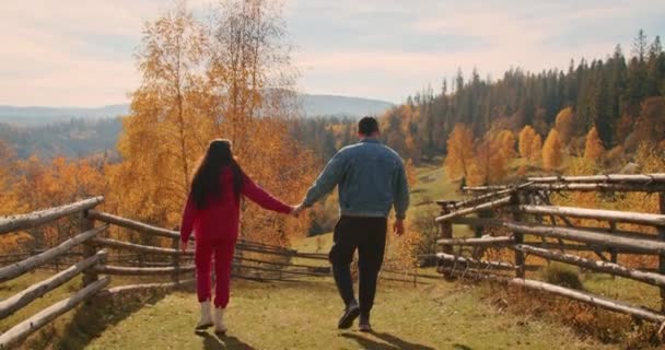 Rückenansicht Eines Paares Das Händchen Haltend Durch Eine Herbstliche Landschaft — Stockvideo