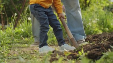 Yaz cömertliği: Bir dişi çiftçi, bereketli tarladan taze sebzeleri zarif bir şekilde toplar ve mevsimin özünü yakalar..