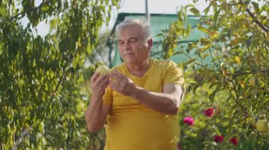 Kırsal periler, bahçeler koruyucuları, topraktan güneşe her filizi beslerler, yazın yeşil duvar halısını örerler..