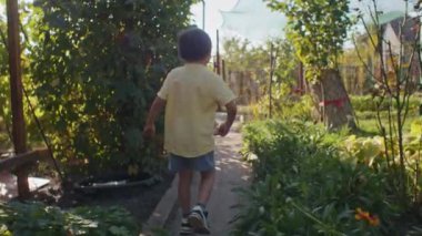 Güneşli bir bahçede ışıltılı bir mercekle yürüyen bir çocuk. Keşif ve yaz konsepti. Aile içi açık hava aktiviteleri afişi, afişi, reklamı için tasarım.