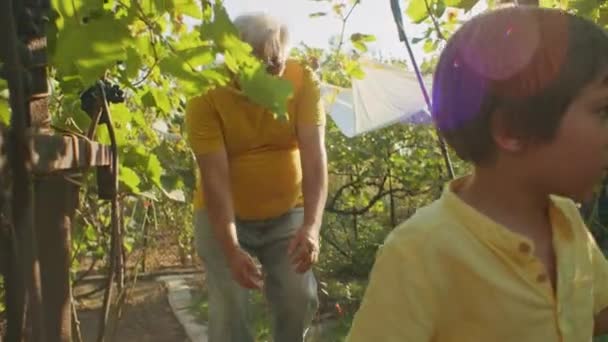 Großvater Und Enkel Beim Gemeinsamen Spaziergang Garten Familienbindung Und Gartenkonzept — Stockvideo