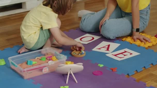 儿童和治疗师通过教育玩具练习字母识别 早期学习和扫盲概念 设计和印刷互动会议 — 图库视频影像