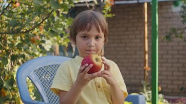Çocuk bahçede yeni toplanmış bir elmayı inceliyor. Merak ve doğal öğrenme kavramı. Eğitimsel içerik için tasarım, sağlıklı beslenme alışkanlıkları, aile bahçıvanlığı. Güneşli açık hava ayarı
