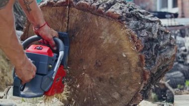 Açık havada büyük bir ağaç gövdesini kesmek için elektrikli testere kullanan ellerin yakın çekimi. Ağaç kesme ve ahşap işçiliği konsepti. Poster, afiş ve başlık tasarımı. Makro çekim.