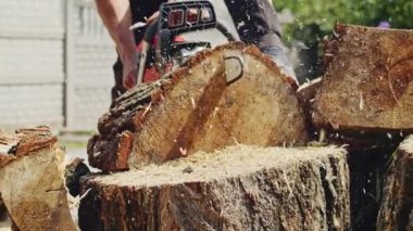 Tahta testereyle ağaç gövdesini keserek talaş uçuyor, arka planda çalışan biri var. Ağaç kesme ve ahşap işçiliği konsepti. Poster, afiş ve başlık tasarımı. Açık hava sahnesi.