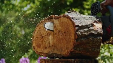 Ağaç gövdesini kesen elektrikli testere, havada uçan odun parçaları ve arka planda yeşillik. Ağaç kesme ve bahçecilik konsepti. Poster, afiş ve başlık tasarımı. Açık hava sahnesi.