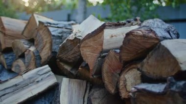 Arka planda bulanık ağaçlar olan, ağaç kabuğuyla kesilmiş odun yığını. Yakın çekim doğal ahşap doku fotoğrafçılığı.