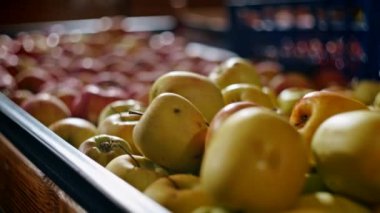 Doğal ışık altında bir market kasasında yeşil elmalara yakın çekim. Doku ve renge odaklı taze üretim fotoğrafçılığı.