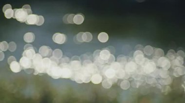 Parlak güneş ışığı ön planda kamışlarla dalgalanan su yüzeyine yansıyor. Sakin göl sahnesi. Doğa ve doğa çevre kavramı.