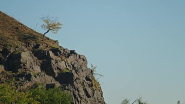 Gökyüzünün altında kayalık kayalıklarda büyüyen yalnız bir ağaç. Nadir bitki örtüsü olan engebeli bir arazi. Doğa ve esneklik kavramı.