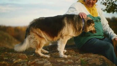 Bir insan açık havada kayalık bir yüzeyde bir köpeği okşuyor. Doğal ışıkla yakın çekim. Evcil hayvan konseptiyle arkadaşlık ve bağ..