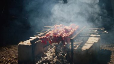 Çiğ et parçaları kızgın kömürde ızgara yapan metal şişler. Duman ve kıvılcımlarla pişirilmiş açık hava barbeküsü. Geleneksel barbekü ve ızgara konsepti.