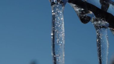 Kapana kısılmış hava kabarcıkları ve açık mavi gökyüzüne yansıyan güneş ışığı ile şeffaf buz saçağı. Bir bardak donmuş su. Tasarım ve yazdırma için kış arkaplanı.