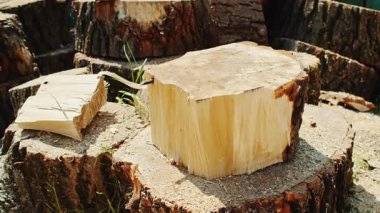 Kalın bir kütüğün içine gömülü bir baltanın yakın çekimi, onu ahşap lifler ve görülebilir talaşla ikiye bölüyor. Kesilmiş odun ve ağaç kütükleri arka planda kırmızı testere ile sahnenin etrafını sarmış.