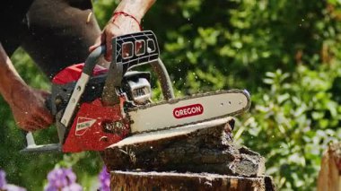 Kütüğü kesmek için kırmızı testere kullanan bir işçinin yakın çekimi, talaş ve ahşap parçacıkları havada uçuşuyor. Elektrikli testere bıçağı tahtaya gömülü, keskin detaylar ve hareketler gösteriyor. Yeşil yapraklar ve