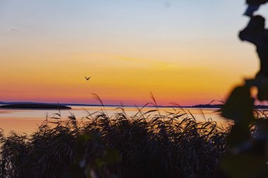 Sunset 'te Gün Işığı Altında Balıkçı Bir Nehir Kıyısında Balıkçılık