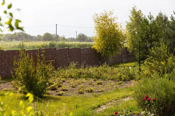 stock image Garden Plot with Trees and a Small Vegetable Garden