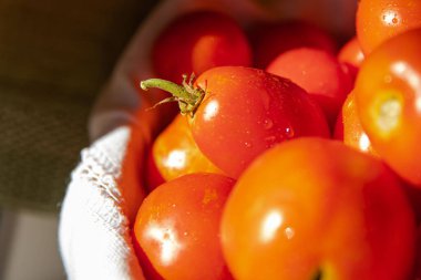 Beyaz masa örtüsü üzerinde dokuma sepetinde taze kırmızı domatesler - kırsal ve doğal natürmort yaşam