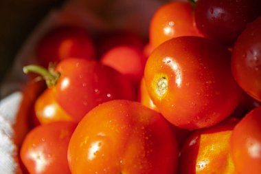 Beyaz masa örtüsü üzerinde dokuma sepetinde taze kırmızı domatesler - kırsal ve doğal natürmort yaşam