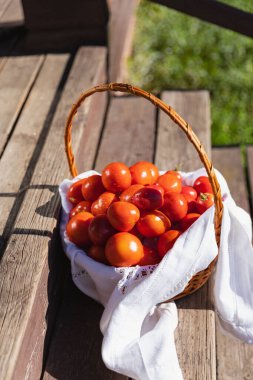 Harvest of Red Tomatoes in a Woven Basket with a White Towel Among Greenery on Wooden Floor - Fresh and Rustic Scene clipart