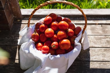 Ahşap zeminde üzerinde Beyaz Havlu ve Yeşiller Arasında Beyaz Havlu olan domates hasadı - Taze ve kırsal