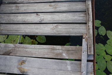 Tahta Plank Köprüsü, Suyun Üzerindeki Paslı Çivilerle Tamire İhtiyaç Duyuyor, Hava Durumu Yapısı