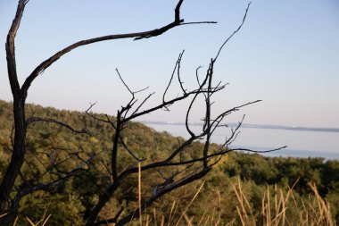Etrafı Lush Trees, Grass ve Rocky Cliffs ile çevrili bir tepeden Serene Waterbody 'nin Hava Görüntüsü - Güzel Doğa Manzarası