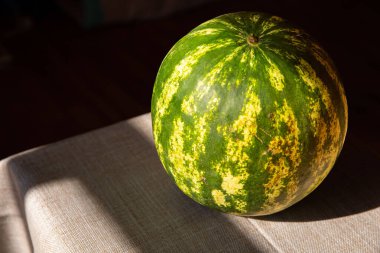 Geniş Sarı ve Yeşil Karpuz Yakın plan Canlı Meyve Detaylı