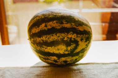 Geniş Sarı ve Yeşil Karpuz Yakın plan Canlı Meyve Detaylı